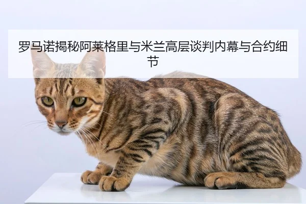 luo-ma-nuo-jie-mi-a-lai-ge-li-yu-mi-lan-gao-ceng-tan-pan-nei-mu-yu-he-yue-xi-jie-2-738.jpg