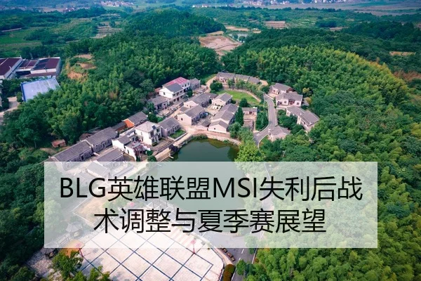 BLG英雄联盟MSI失利后战术调整与夏季赛展望